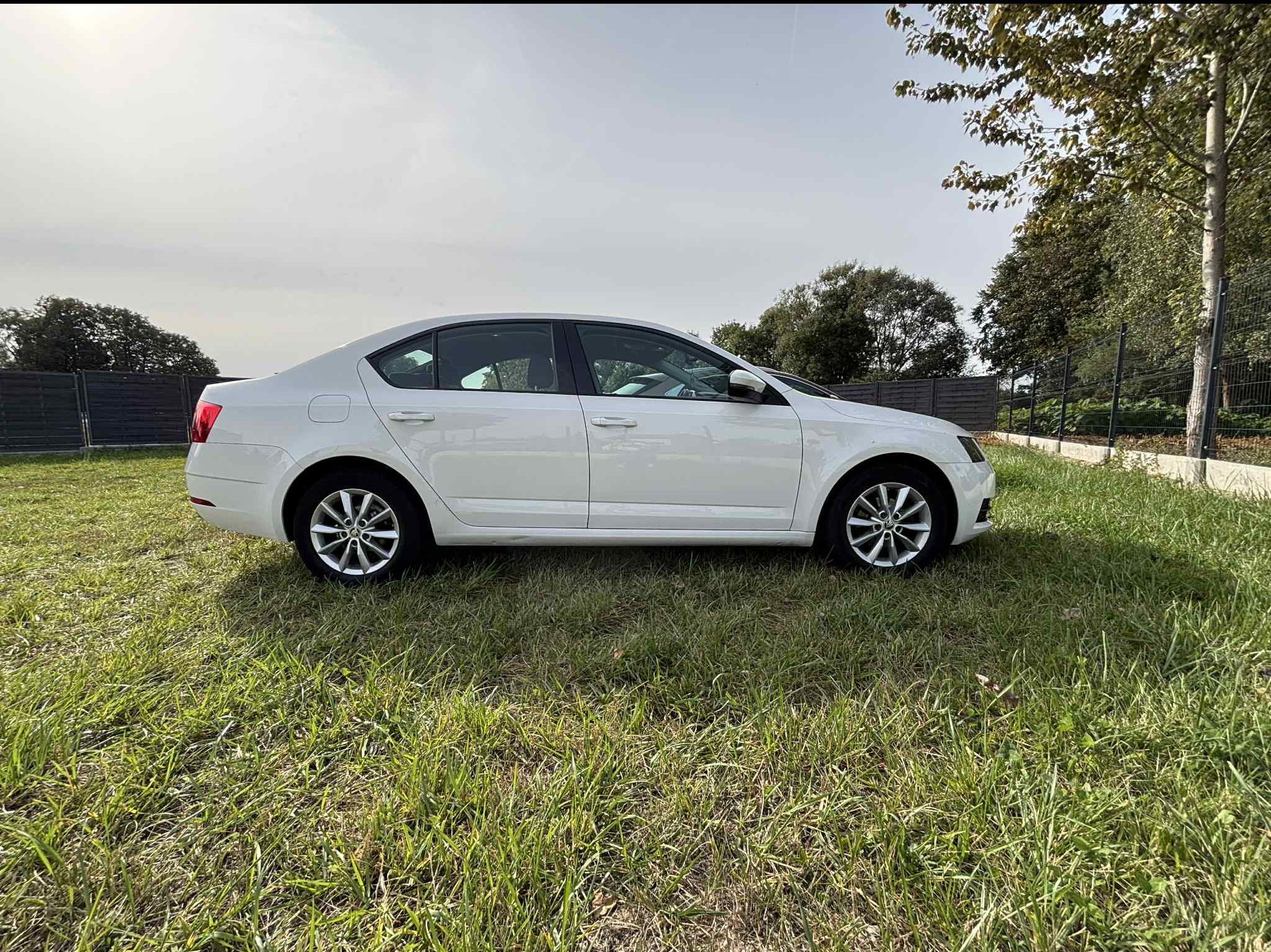 Biała Skoda Octavia, widok z boku na trawie, felgi aluminiowe, czyste niebo, drzewa w tle. Auto po umyciu, gotowe do wypożyczenia.