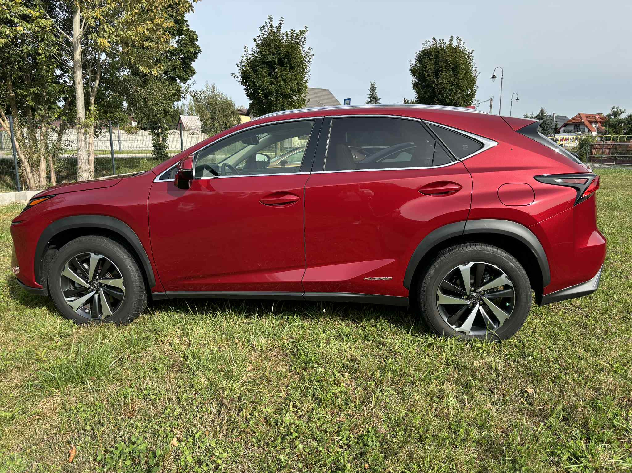 Czerwony, hybrydowy Lexus NX na trawie, widziany z boku. Chromowane relingi dachowe, czarne nadkola i felgi. Trawa w tle, drzewa i domy w oddali.