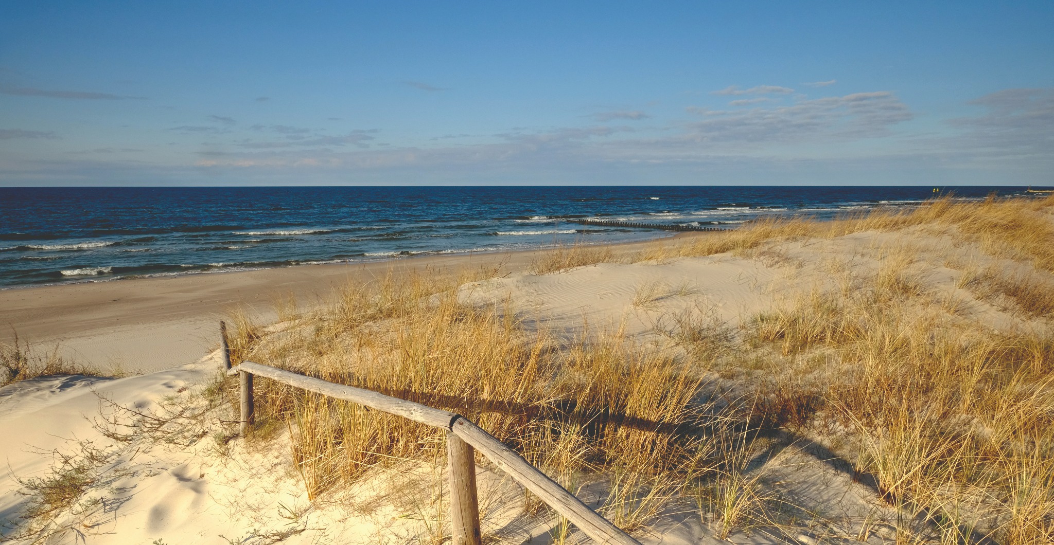 grafika na szkle- panele do kuchni