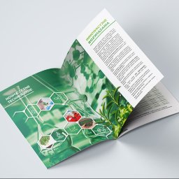 GWDesign Grzegorz Wieliczko - Otwarta broszura reklamowa z zieloną grafiką i hasłami 'Nowoczesne Technologie' i 'Innowacyjne Rozwiązania' na białym tle. Widoczne szczegóły tekstu i ilustracji.