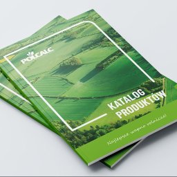 Tworzenie stron internetowych Gdańsk 3