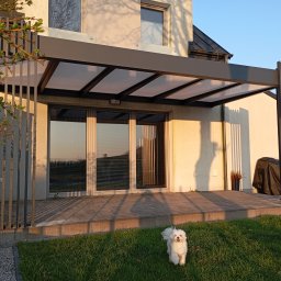 Bramy Plus - Nowoczesna, grafitowa konstrukcja zadaszenia tarasu z poliwęglanem, z pionowymi elementami dekoracyjnymi i psem rasy Maltańczyk na trawniku.