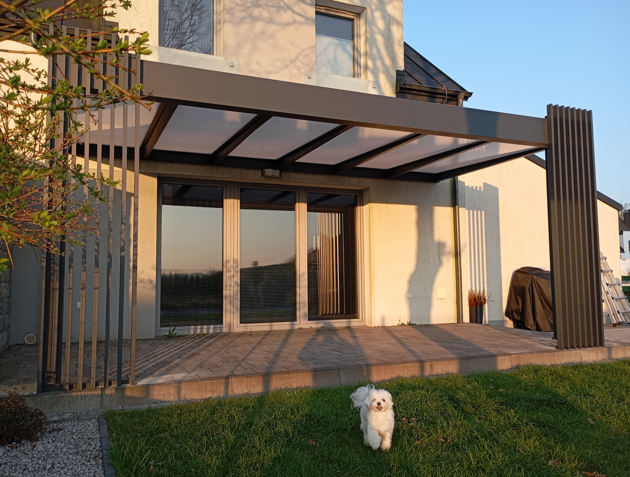 Nowoczesna, grafitowa konstrukcja zadaszenia tarasu z poliwęglanem, z pionowymi elementami dekoracyjnymi i psem rasy Maltańczyk na trawniku.
