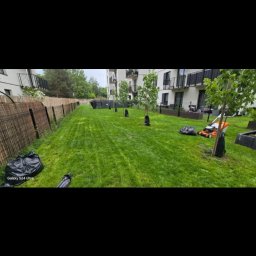 Piotr Ludwiczak - Wypielęgnowany trawnik z młodymi drzewkami w czarnych osłonkach, obok kosiarka i worki na trawę. W tle budynek mieszkalny i płot z bambusa.