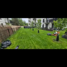 Wypielęgnowany trawnik z młodymi drzewkami w czarnych osłonkach, obok kosiarka i worki na trawę. W tle budynek mieszkalny i płot z bambusa.