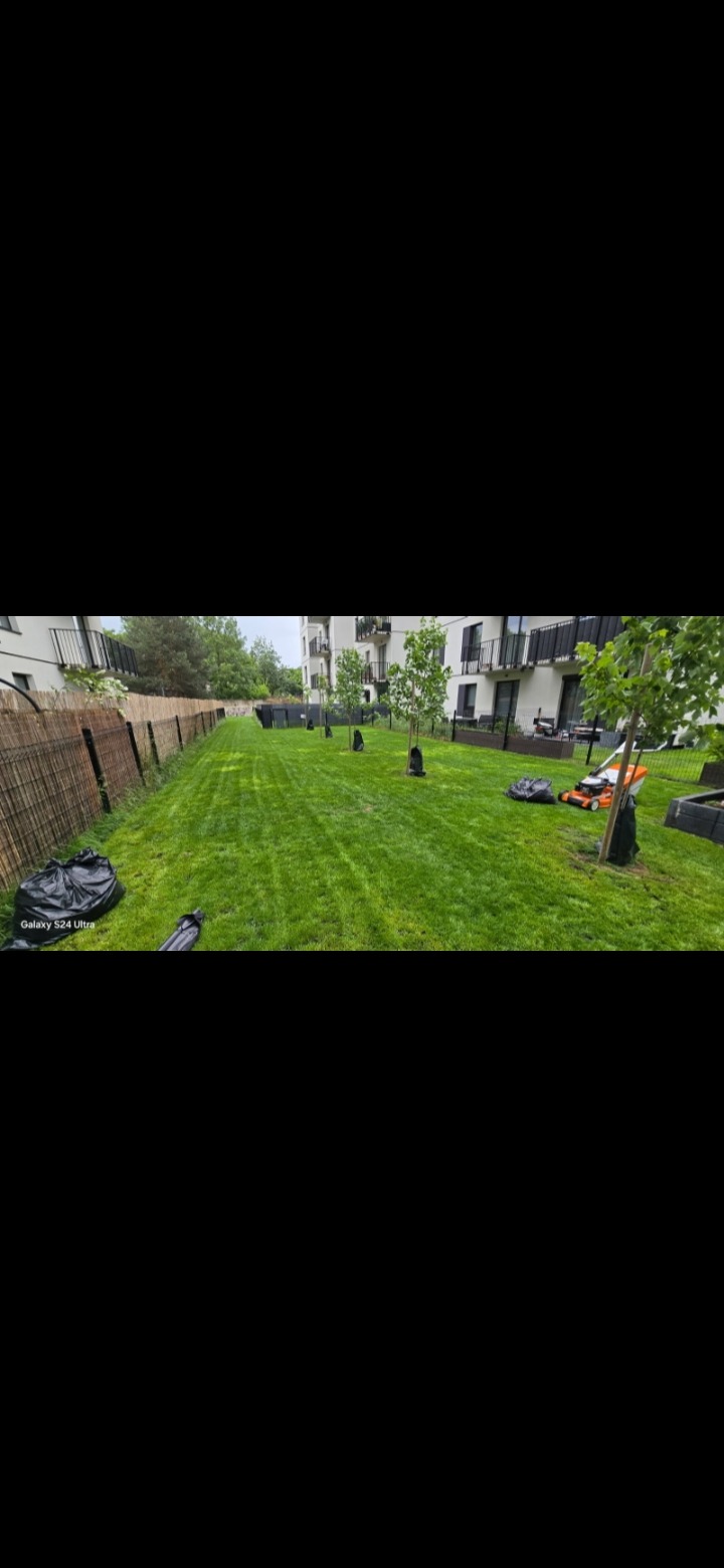 Wypielęgnowany trawnik z młodymi drzewkami w czarnych osłonkach, obok kosiarka i worki na trawę. W tle budynek mieszkalny i płot z bambusa.