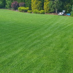 Pielęgnacja ogrodów Kielce 2