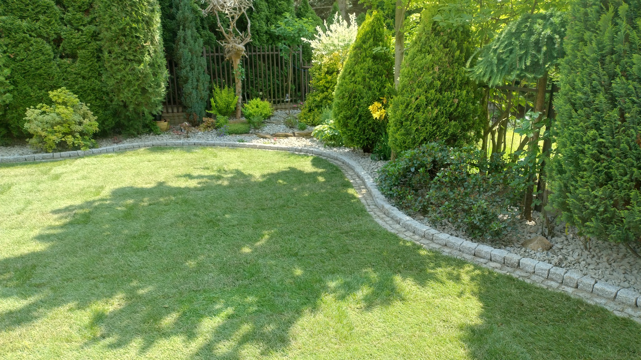 Zadbany trawnik w ogrodzie, obrzeża z kostki granitowej, liczne iglaki i krzewy, metalowe ogrodzenie w tle. Cień drzew na trawie.