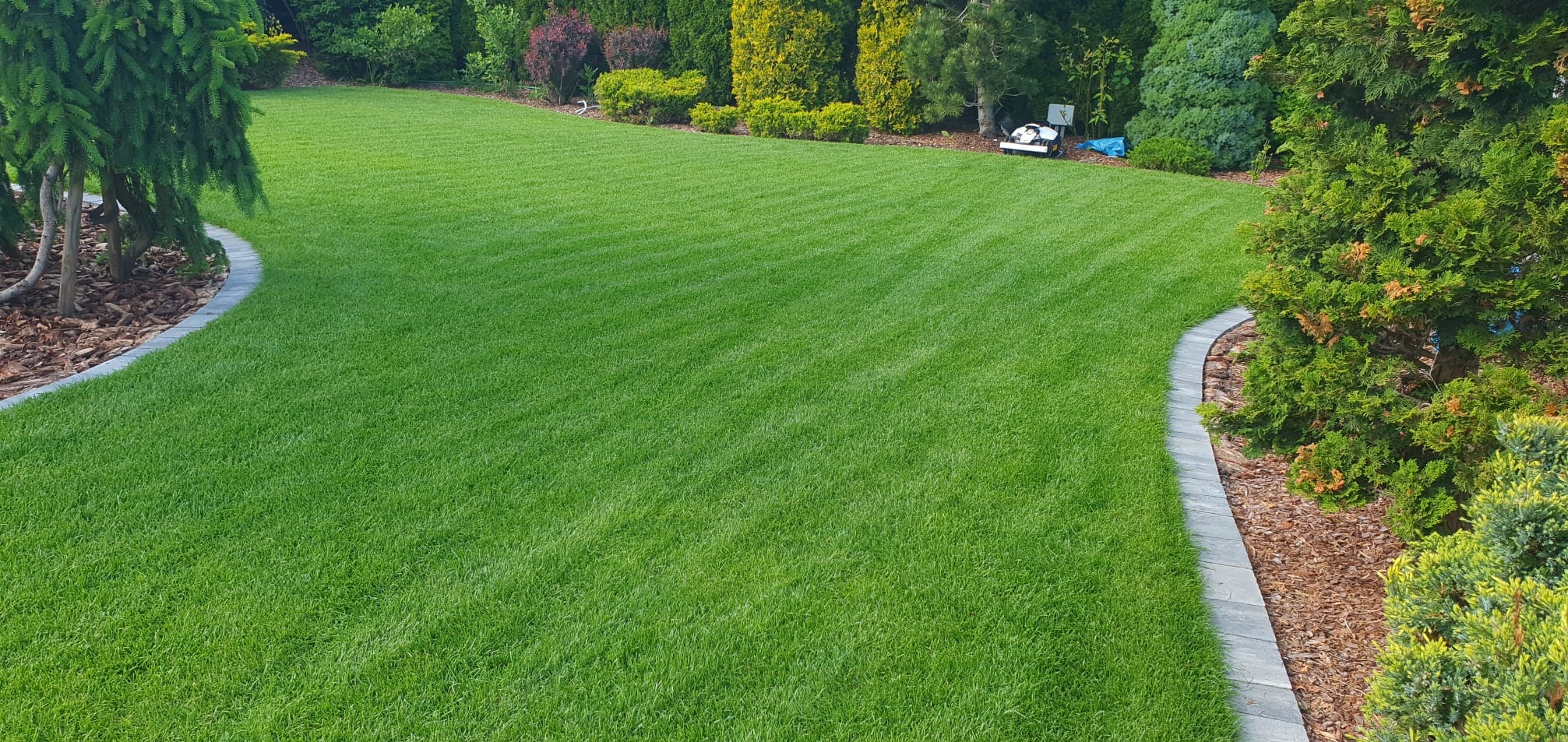Perfekcyjnie skoszony trawnik z widocznymi pasami, obrzeża z kostki brukowej, drzewa iglaste i liściaste w tle. Zadbany ogród.