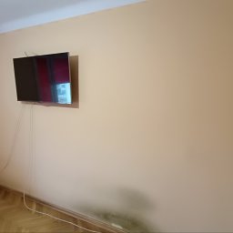 Malarz Mińsk Mazowiecki