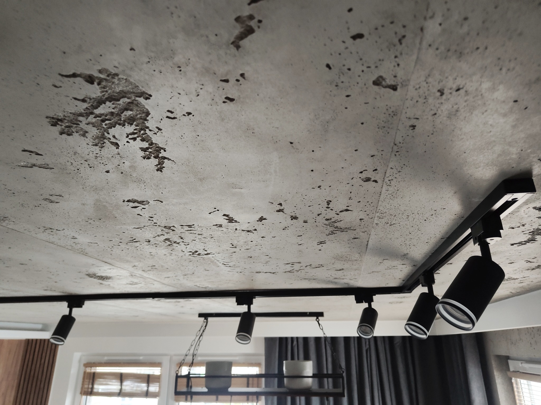 Betonowy sufit z czarną szyną oświetleniową i reflektorami. Widoczne niedoskonałości betonu i minimalistyczne lampy.
