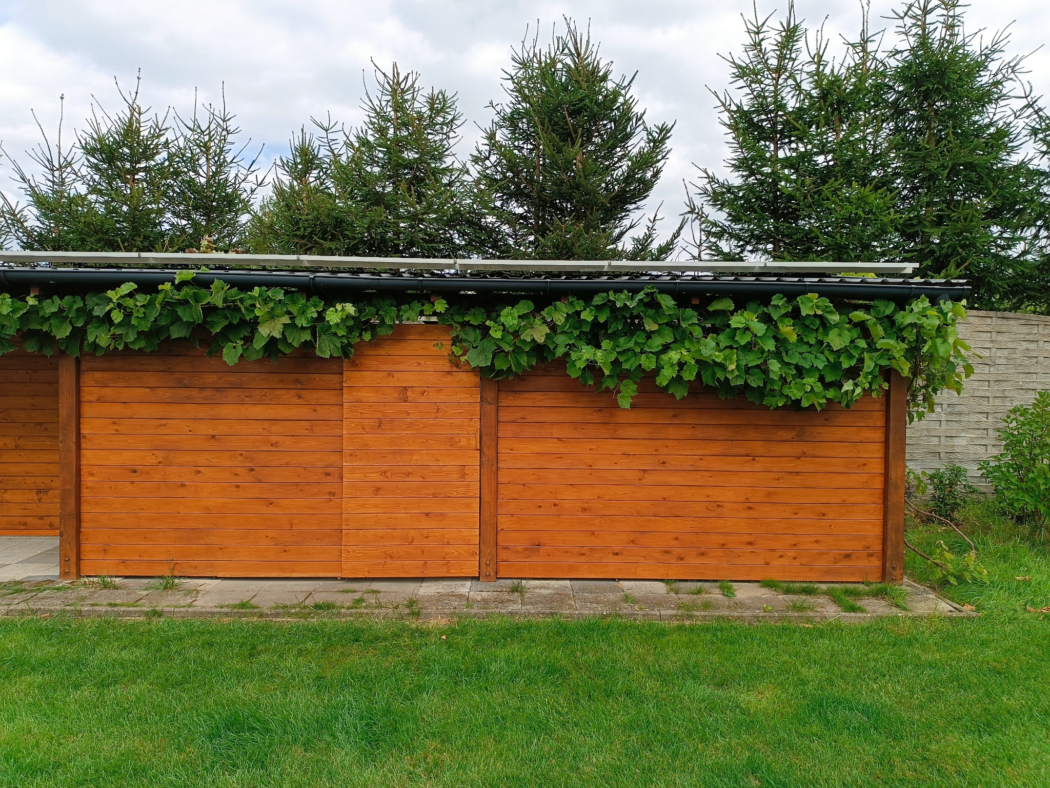 Drewniana konstrukcja z przesuwnymi drzwiami, porośnięta pnączami, na tle zielonego trawnika i drzew iglastych. Widoczny fragment betonowego ogrodzenia.