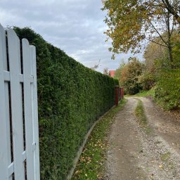 Pielęgnacja ogrodów Dobczyce 1