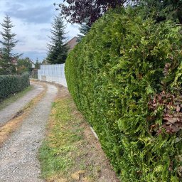 Zadbany Ogród - Rośliny i podłoża Myślenice