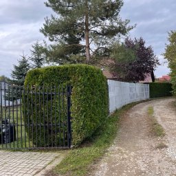 Pielęgnacja ogrodów Dobczyce 3