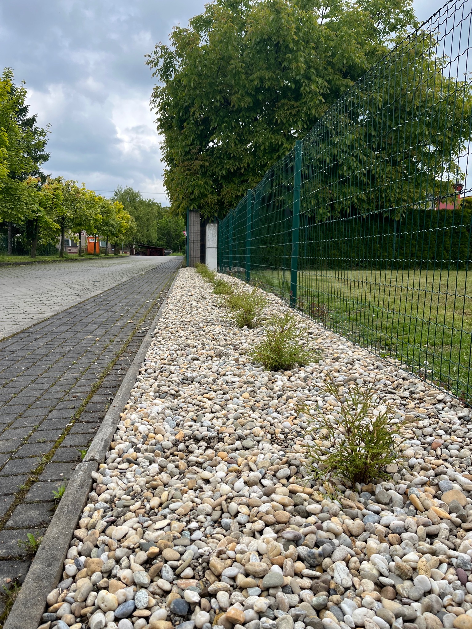 Kaskada z jasnych kamieni i młode tuje wzdłuż zielonego ogrodzenia siatkowego, obok chodnika z kostki brukowej. Tło: zieleń drzew. Pochmurne niebo.