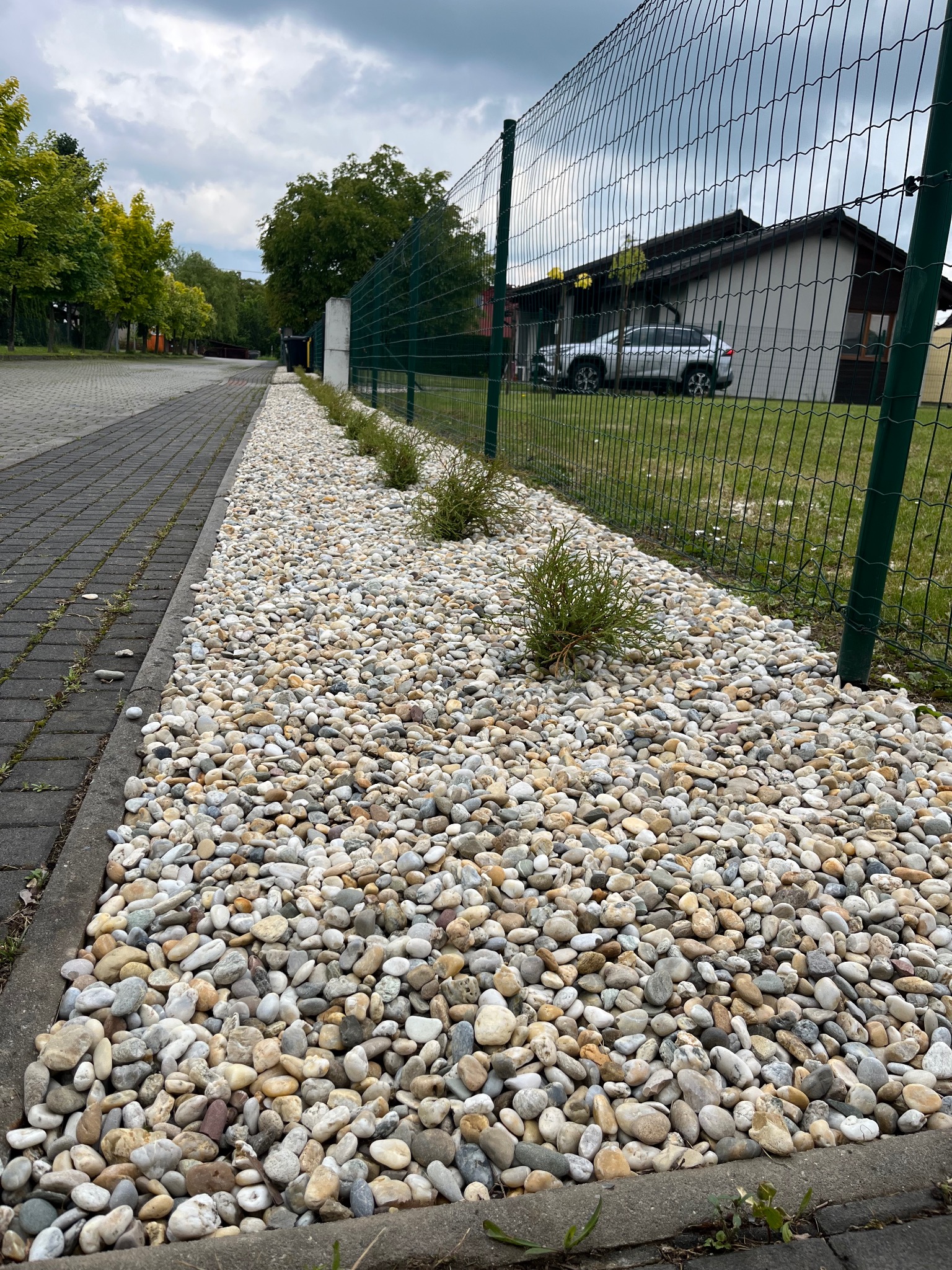 Rabata z białych kamieni i niskich krzewów iglastych wzdłuż chodnika z kostki, obok metalowej siatki ogrodzeniowej. W tle budynek i zaparkowany samochód.