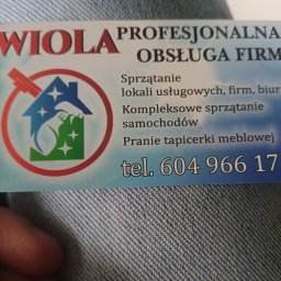 Usługi sprzotajoce Wioleta Napierkowska - Pranie Tapicerki Meblowej Lelis
