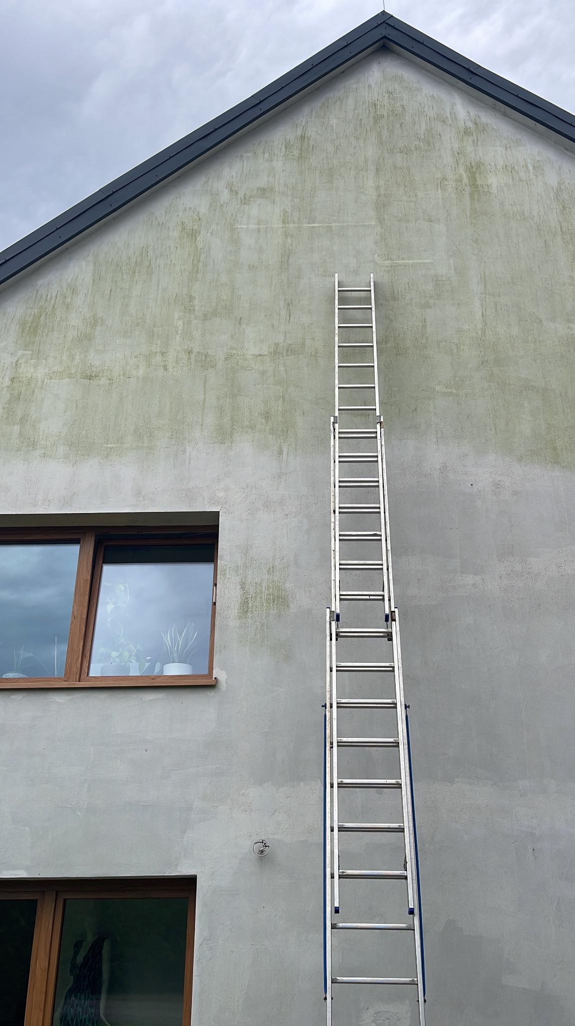 Szara ściana domu z zielonymi plamami i przystawioną aluminiową drabiną. Widoczne okno z drewnianą ramą i odbiciem w szybie. Pochmurne niebo w tle.