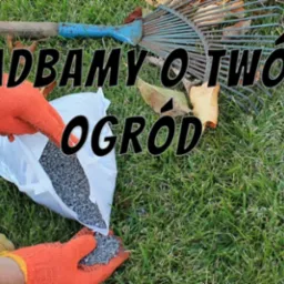 Na trawniku leżą grabie, a ręce w pomarańczowych rękawicach rozsypują nawóz z białego worka. Jesienne liście na trawie. Tekst: Zadbamy o Twój ogród.