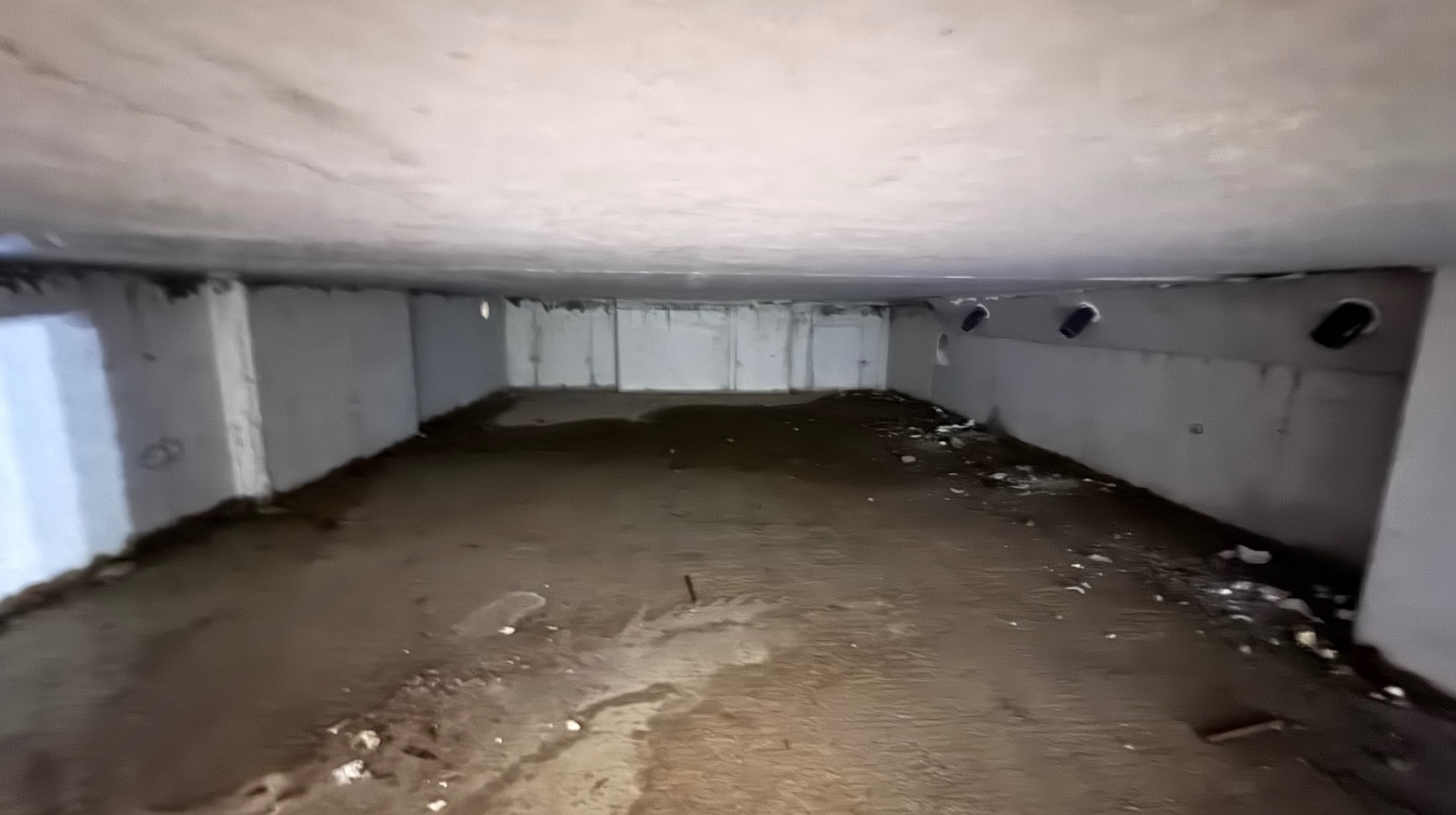 Surowe wnętrze piwniczne z betonowymi ścianami, podłogą i sufitem. Widoczne otwory wentylacyjne w ścianie. Podłoga częściowo zalana. Wnętrze w trakcie prac remontowych.