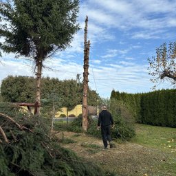 Zr&oacute;bmy to - Usługi w ogrodzie Krosno