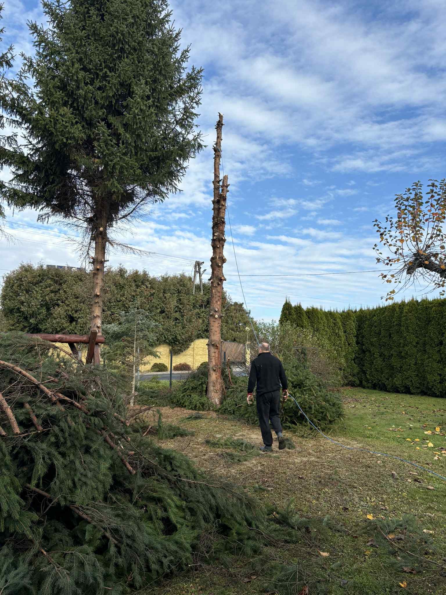 Po wycince: mężczyzna oddala się od pnia drzewa, obok leżą ścięte gałęzie. Widoczne niebo z chmurami i inne drzewa w tle.