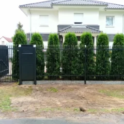 Nowoczesne, czarne ogrodzenie metalowe z bramą, na tle domu z jasną elewacją i tujami. Widoczny fragment trawnika i asfaltowej drogi.