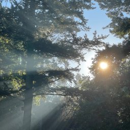 Polska Flora - Niwelacja Terenu Szczecin