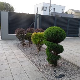 BMG sp z.o.o - Trawa Rolowana Ruda Śląska