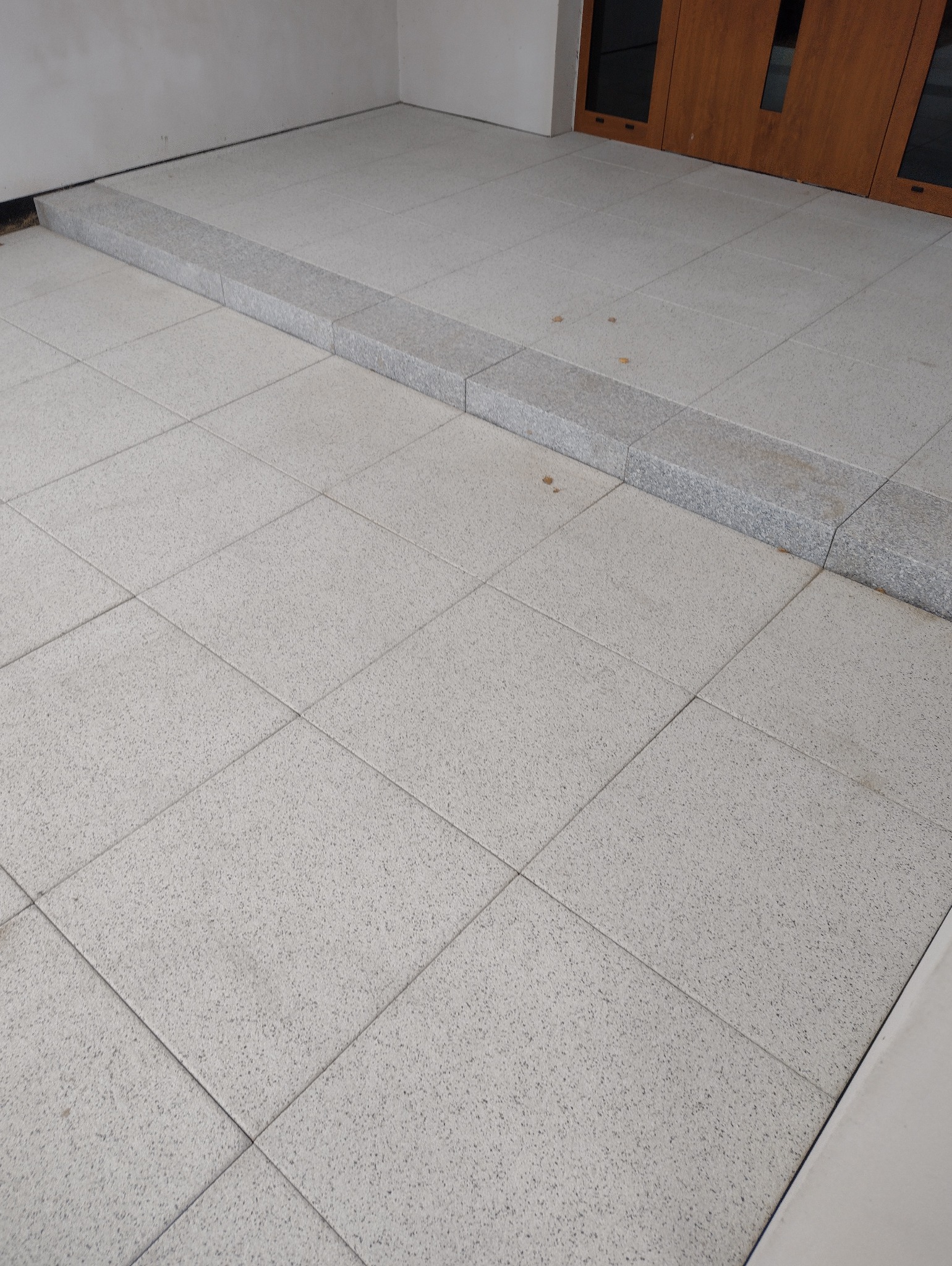 Jasnoszara kostka brukowa ułożona na tarasie przed wejściem do budynku, z widocznym stopniem z kostki granitowej. Minimalistyczny design.