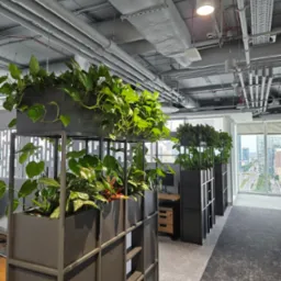 Wnętrze biura w Radomiu z roślinami w metalowych kwietnikach, widok na miasto przez okno. Nowoczesny design z elementami zieleni.