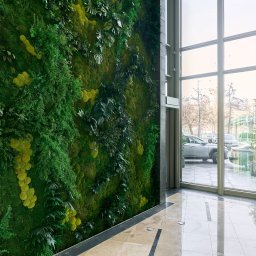 Zakładanie ogrodów Radom 2