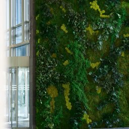 Zakładanie ogrodów Radom 4