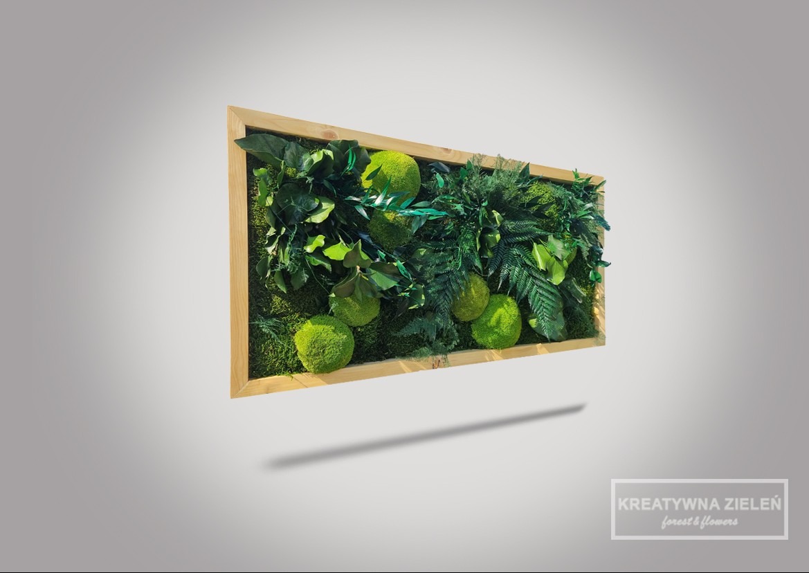 Panel z mchu i roślin w drewnianej ramie, dekoracja wnętrz. Zielone kule z mchu i różne gatunki roślin tworzą kompozycję. Dekoracja  Kreatywna Zieleń.