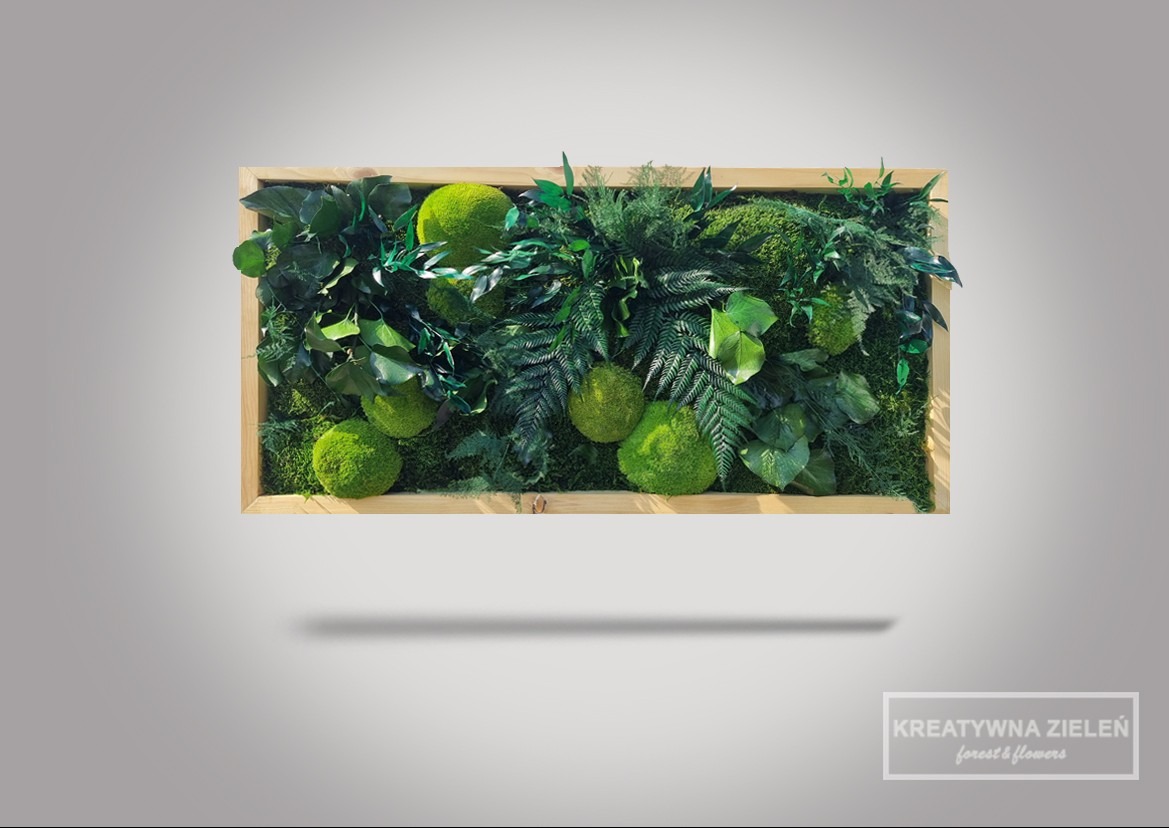 Panel z mchu i roślin w drewnianej ramie, tworzący dekoracyjny element wnętrza. Widoczne różne rodzaje zieleni i kuliste formy mchu.