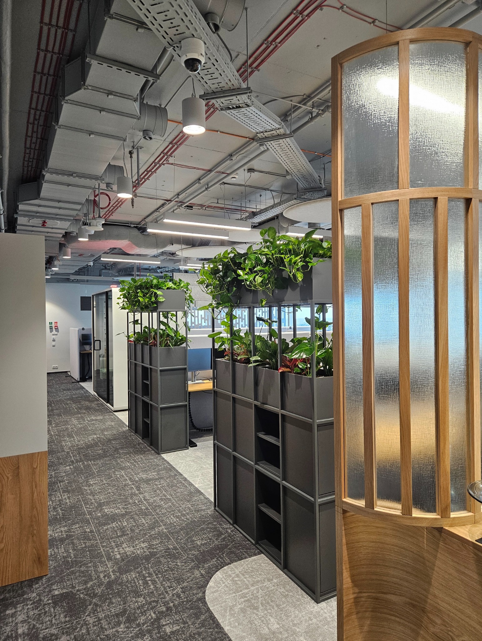 Nowoczesne biuro z roślinami w metalowych donicach, oddzielającymi przestrzeń. Widoczne instalacje pod sufitem i drewniana konstrukcja z matowym szkłem.