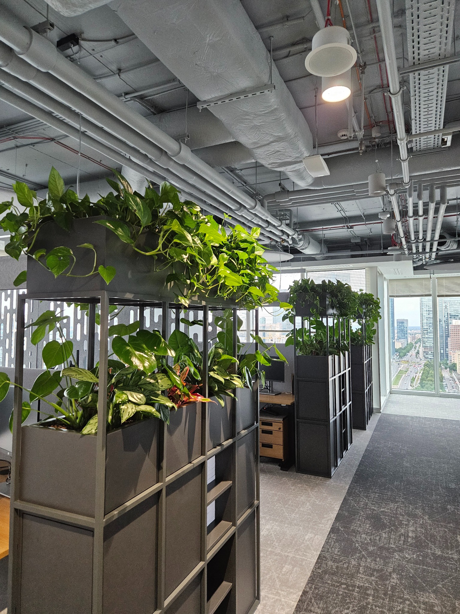 Wnętrze biura w Radomiu z roślinami w metalowych kwietnikach, widok na miasto przez okno. Nowoczesny design z elementami zieleni.