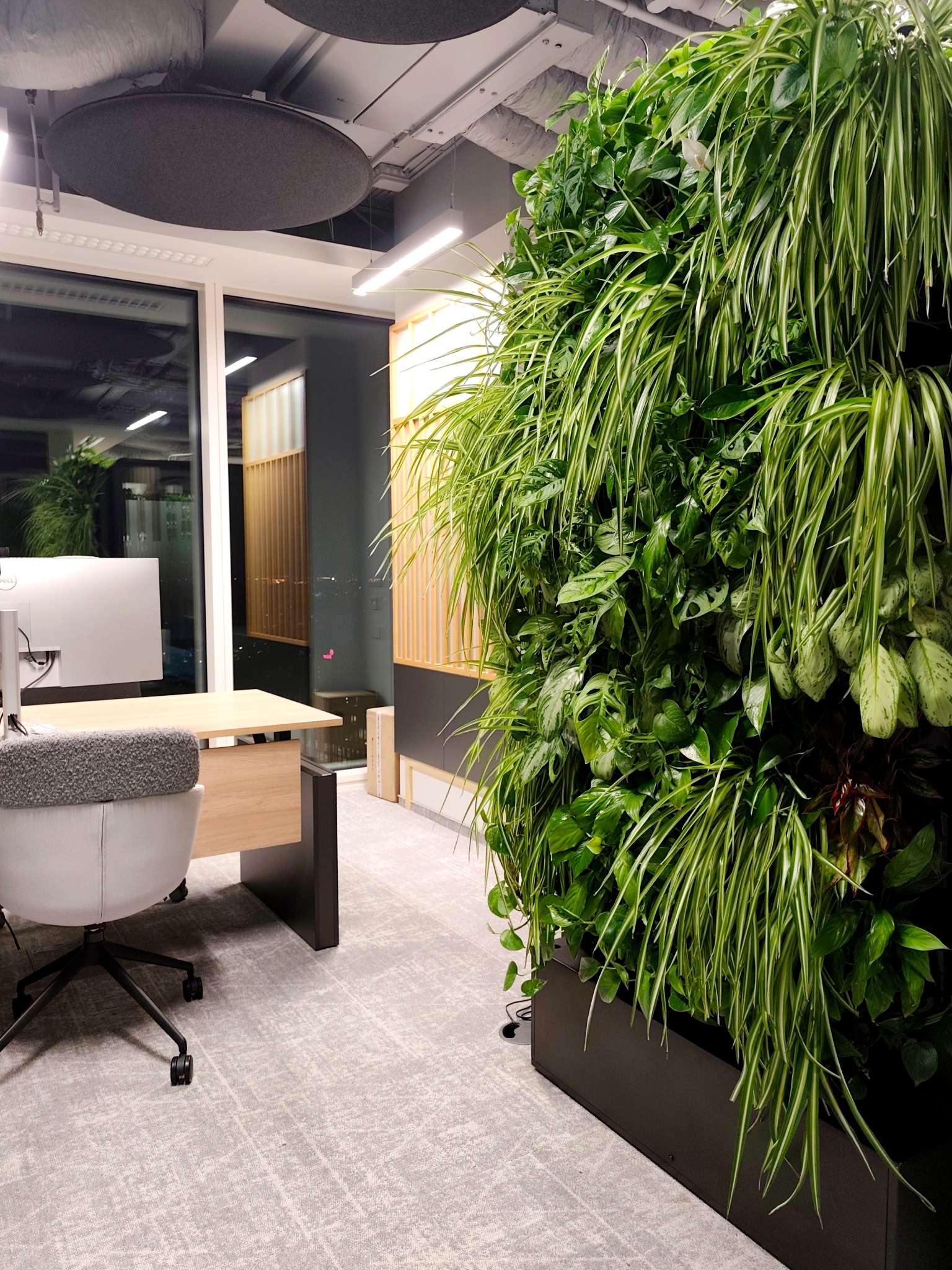 Wnętrze biura z pionową ścianą zieleni, biurkiem i krzesłem. Rośliny o różnych odcieniach zieleni tworzą kompozycję na tle nowoczesnego biura.
