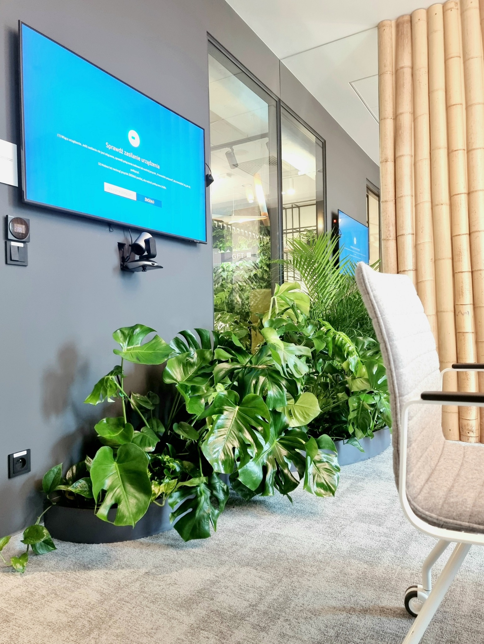 Nowoczesne biuro z roślinami doniczkowymi, szarą ścianą i ekranem. Widoczne biurko, krzesło i bambusowe wykończenie ściany. Zieleń w biurze, aranżacja roślinna.
