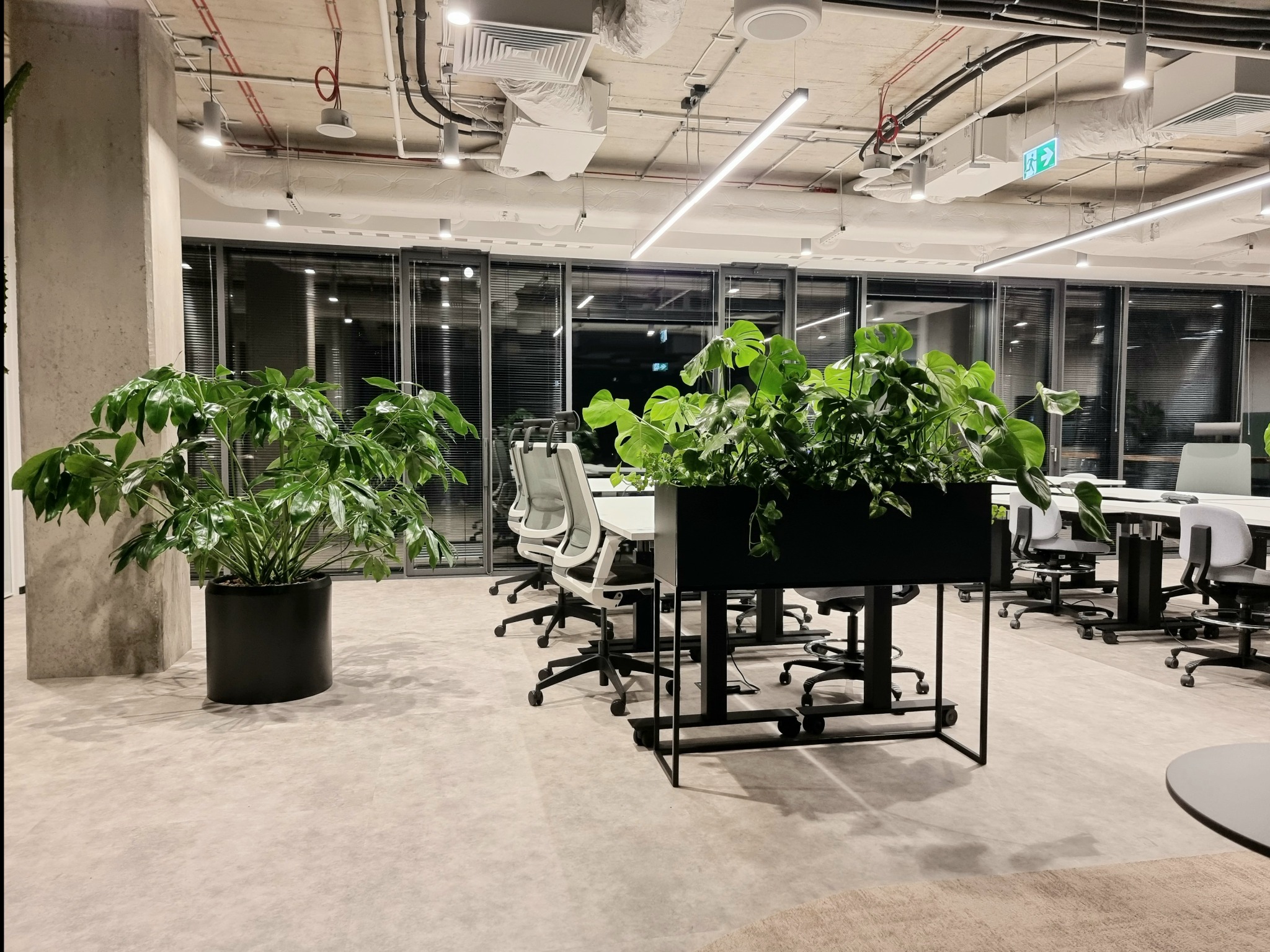 Nowoczesne biuro z roślinami doniczkowymi w czarnych donicach, jasne wnętrze z biurkami i krzesłami, widok na sufit z instalacjami.