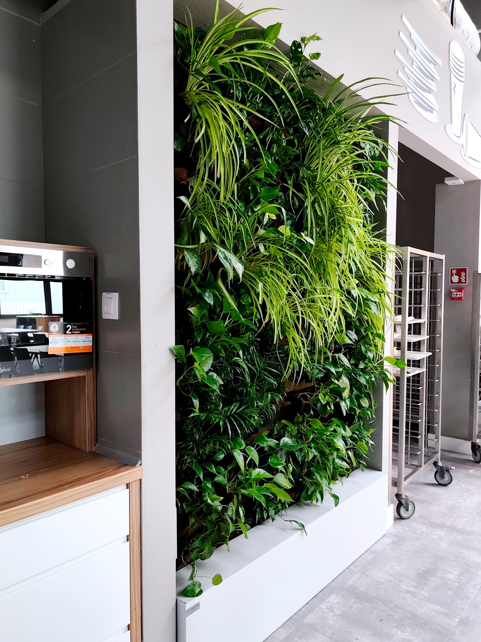 Zielona ściana z różnorodnych roślin w nowoczesnym wnętrzu, obok zabudowa kuchenna i metalowy regał na kółkach. Element dekoracyjny z roślin w lokalu.