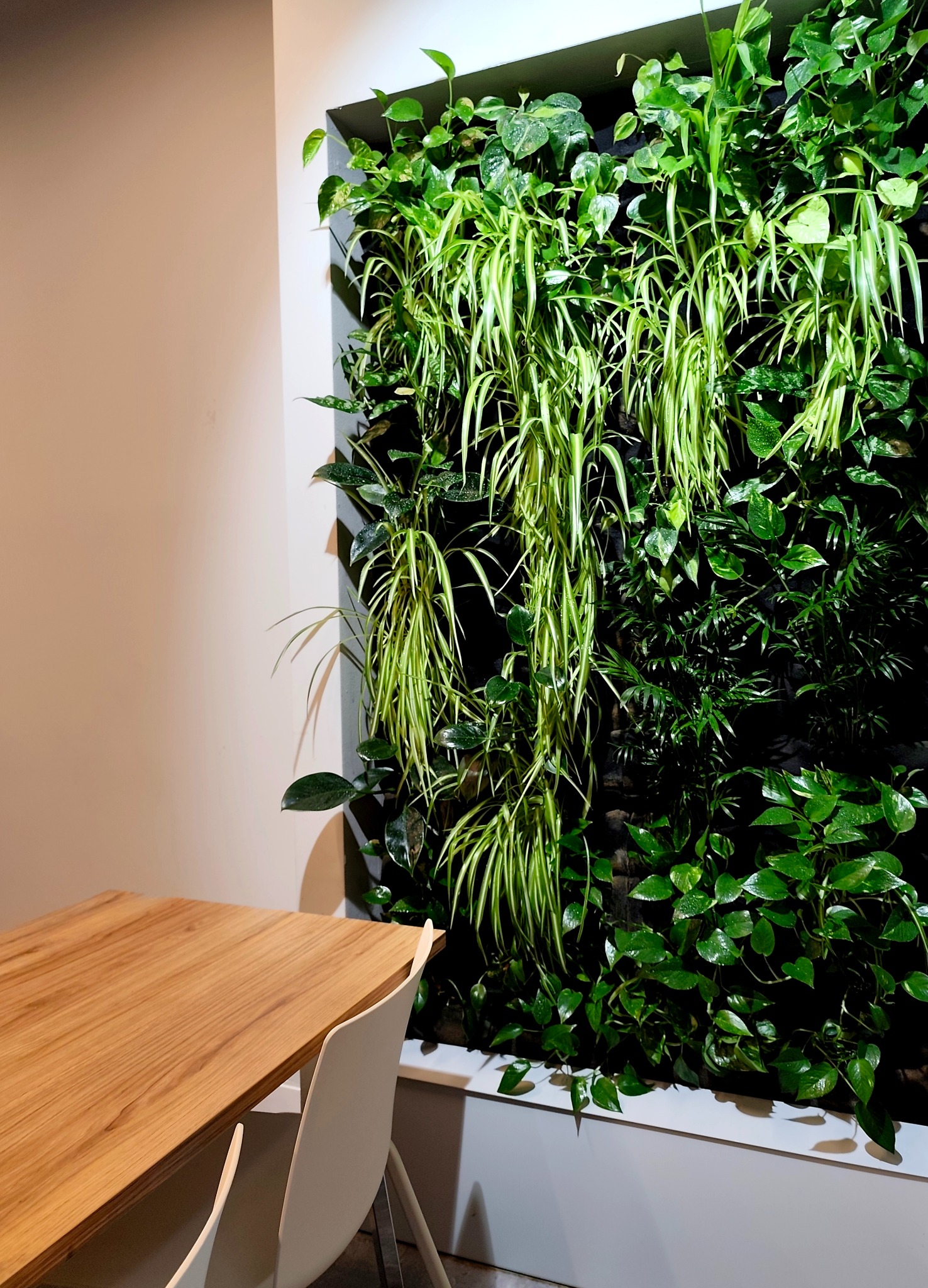 Wertykalny ogród w biurze: ściana z zielonych roślin w ramie, obok drewniany stół i białe krzesła, tworząc naturalny akcent w przestrzeni biurowej.