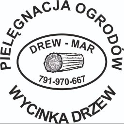 Wycinka drzew Jedlicze 1
