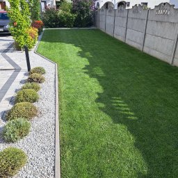 Paweł Bochenek - Prace działkowe Racib&oacute;rz