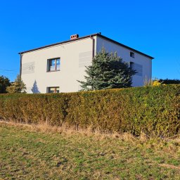 Przycinanie drzew Krzyżanowice 3