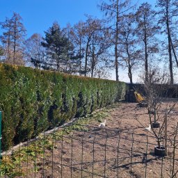 Paweł Bochenek - Usługi w ogrodzie Racib&oacute;rz