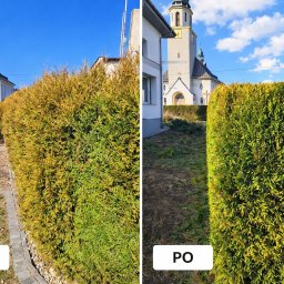 Paweł Bochenek - Usługi w ogrodzie Racib&oacute;rz