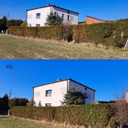 Paweł Bochenek - Zdjęcie 'przed i po' prezentujące równo przycięty żywopłot przed domem. W tle widoczny biały budynek z brązowym dachem i błękitne niebo.