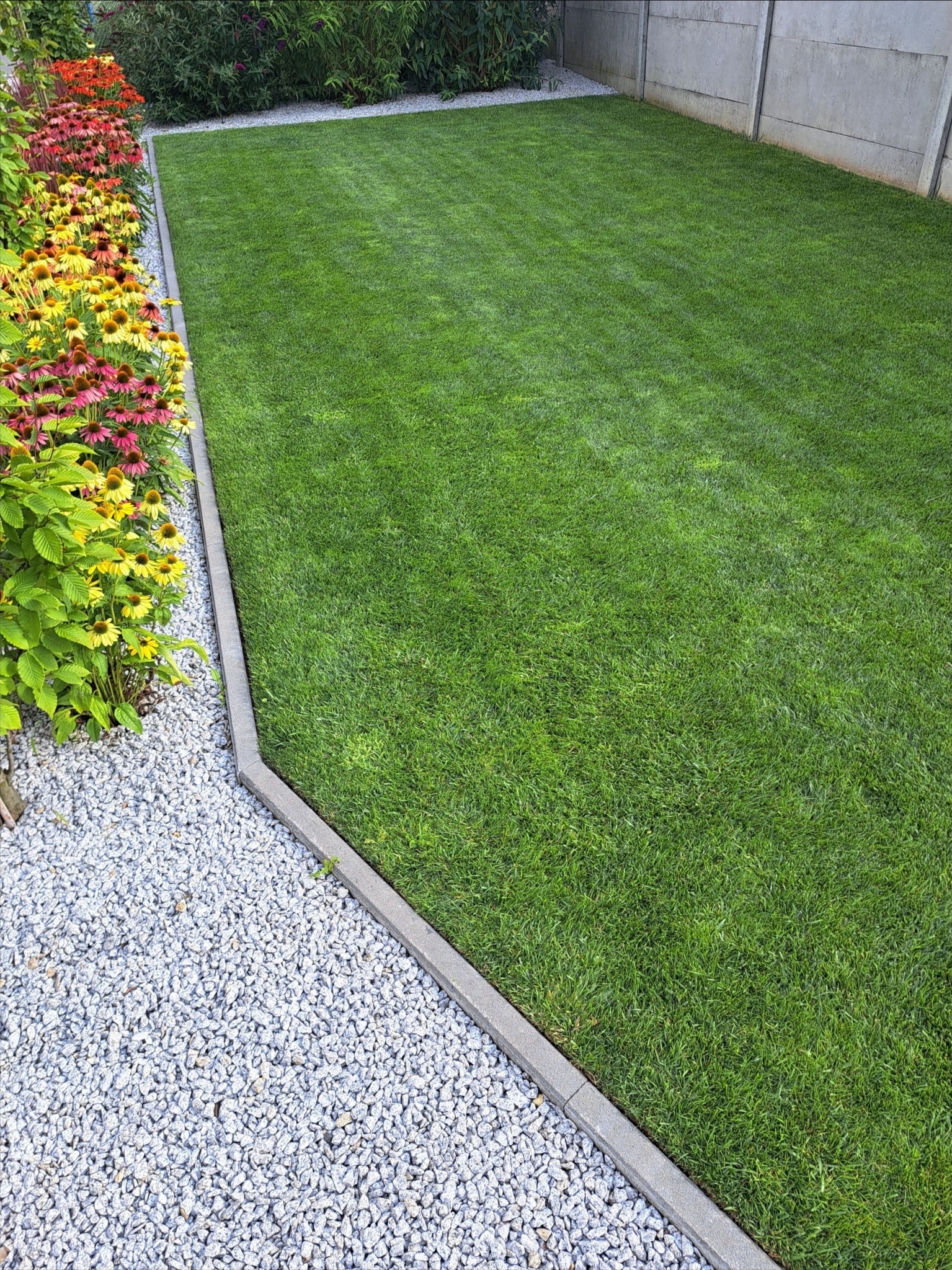 Zadbany trawnik z wyraźnymi pasami po koszeniu, obrzeża z kostki, rabata z kolorowymi kwiatami i wysypany kamykami fragment ogrodu przy betonowym ogrodzeniu.